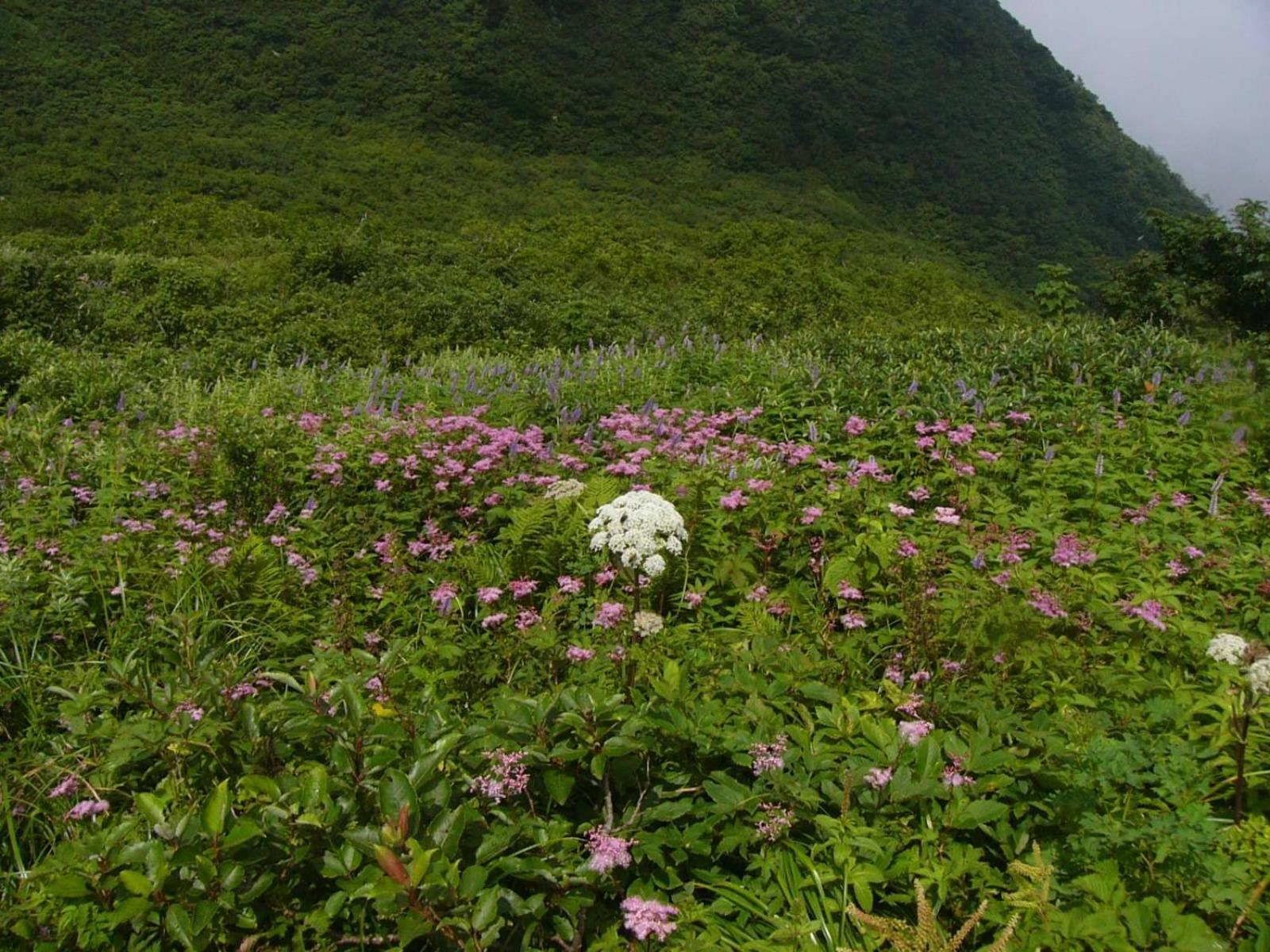 Shukubo Kansho-In Temple Sanrakuso Daisen  Exterior photo
